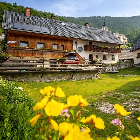 Apartments Kocjanc Bohinj Zewnętrze zdjęcie