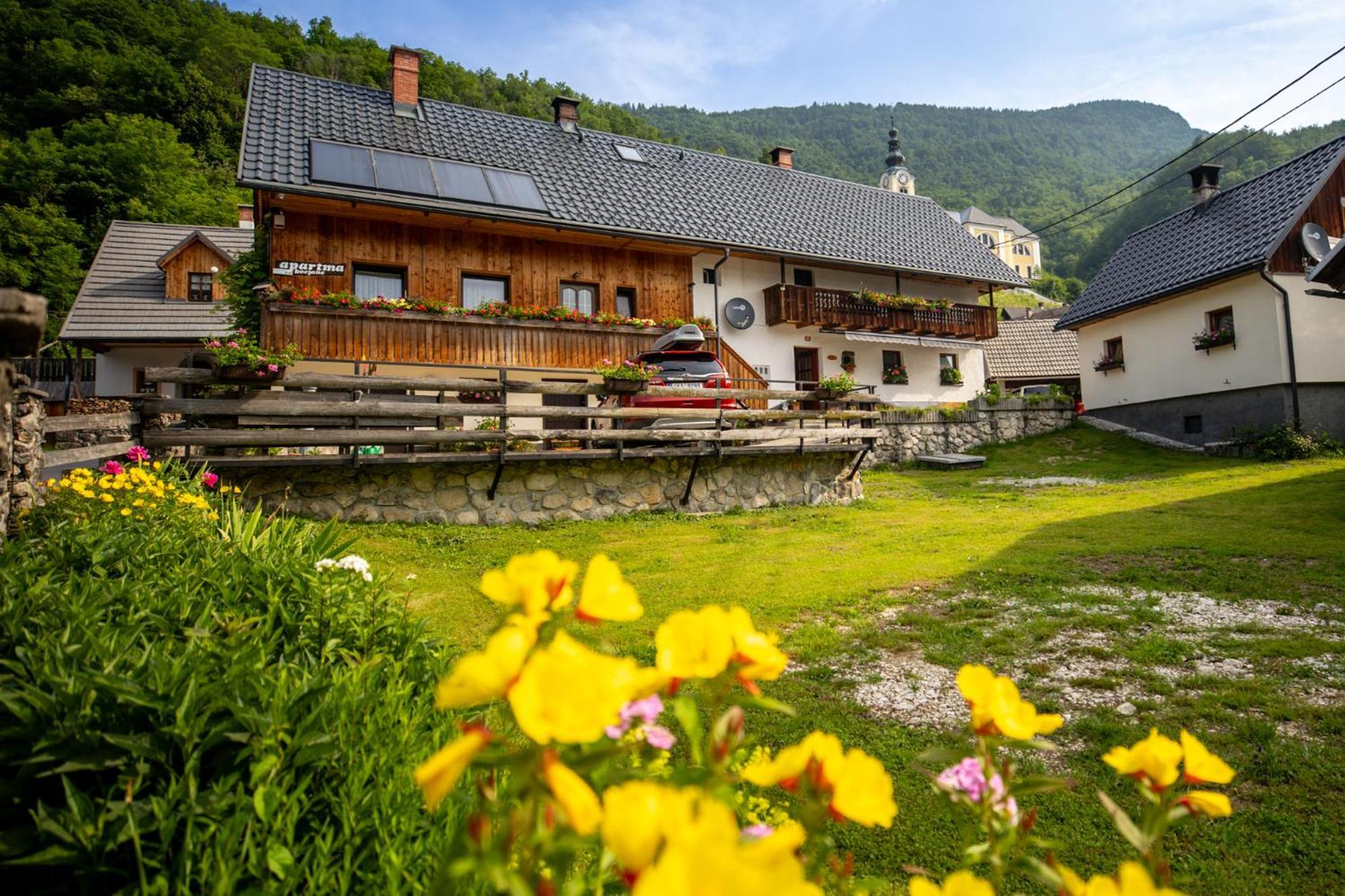 Apartments Kocjanc Bohinj Zewnętrze zdjęcie