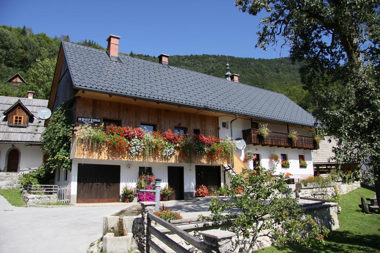 Apartments Kocjanc Bohinj Zewnętrze zdjęcie